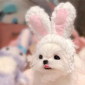 white pink ears Playboy dog pet cat bunny hoodie heart costume hat headband nwt